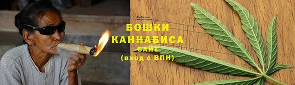 молекула духа Богородск