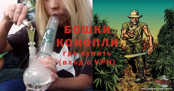 кокс Богородицк