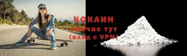 молекула духа Богородск