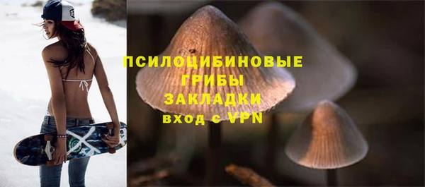 молекула духа Богородск