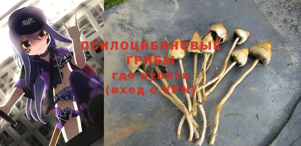 мяу мяу мука Слюдянка