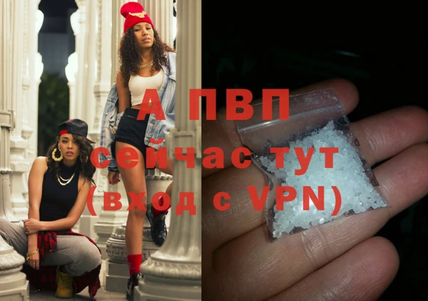 кокс Богородицк