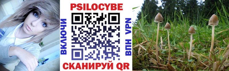 продажа наркотиков  Воткинск  Псилоцибиновые грибы Magic Shrooms 